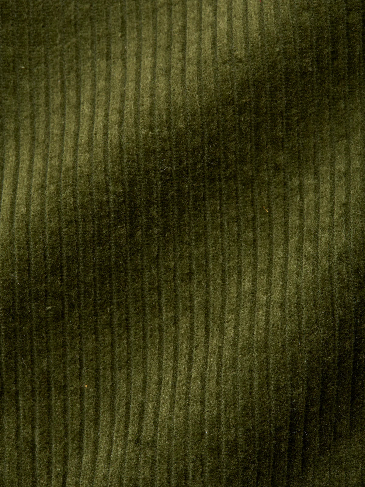Treviscoe Shirt Hudson Cord Green